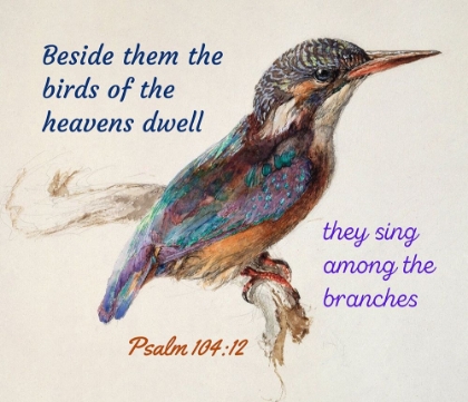 Picture of BIBLE VERSE QUOTE PSALM 104:12, JOHN RUSKIN - BIRD