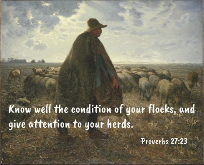 Picture of BIBLE VERSE QUOTE PROVERBS 27:23, JEAN-FRANCOIS MILLET - SHEPHERD TENDING HIS FLOCK LL