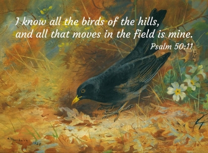 Picture of BIBLE VERSE QUOTE PSALM 50:11, ARCHIBALD THORBURN - BLACKBIRD