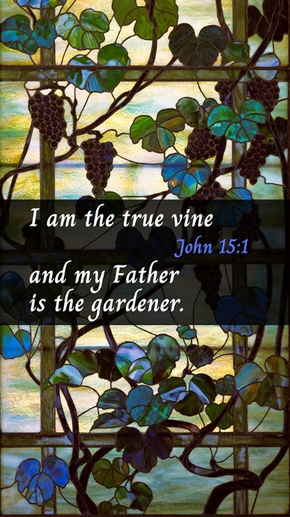 Picture of BIBLE VERSE QUOTE JOHN 15:1, LOUIS COMFORT TIFFANY - GRAPEVINE PANEL