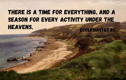 Picture of BIBLE VERSE QUOTE ECCLESIASTES 3:1, CARL FREDRIK AAGARD - COASTAL