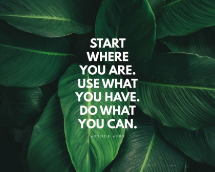 Picture of ARTHUR ASHE QUOTE: DO WHAT YOU CAN