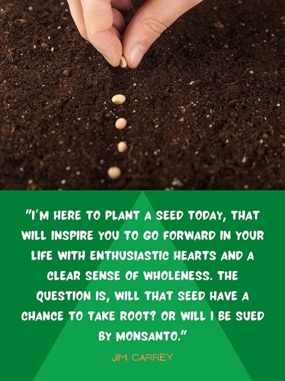 Picture of JIM CARREY QUOTE: PLANT A SEED TODAY