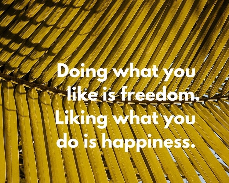 Picture of ARTSY QUOTES QUOTE: FREEDOM AND HAPPINESS