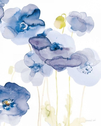 Picture of DELICATE POPPIES II BLUE