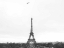 Picture of A BIRDS VIEW OF PARIS