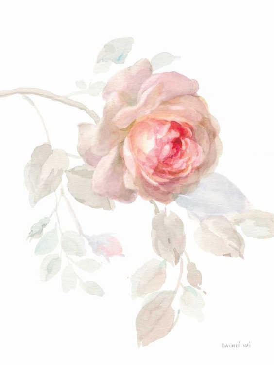 Picture of GENTLE ROSE I