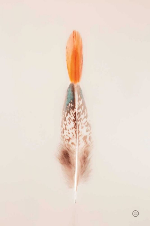 Picture of FLOATING FEATHERS I