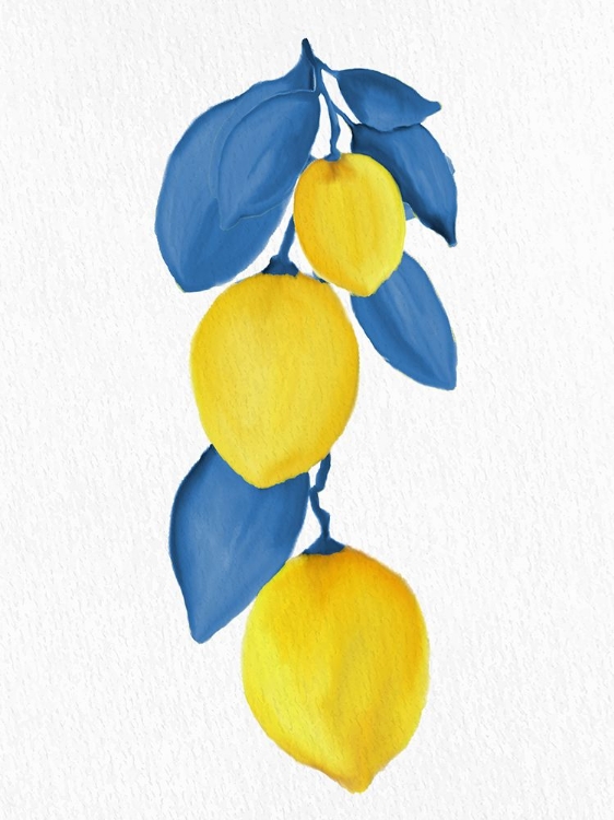 Picture of LEMON VINE 1