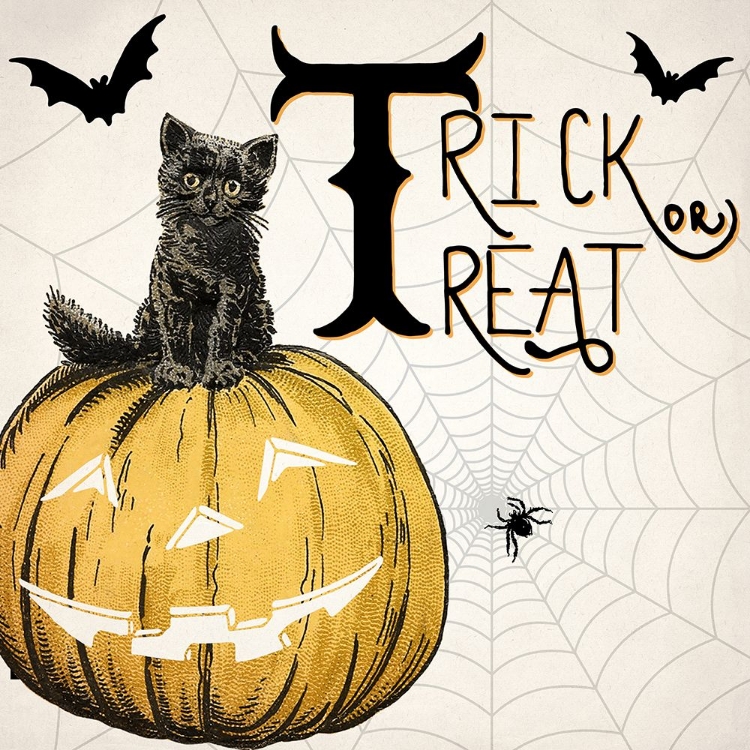 Picture of TRICK OR TREAT CAT V2