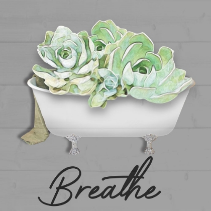 Picture of BREATHE SUCCULENT