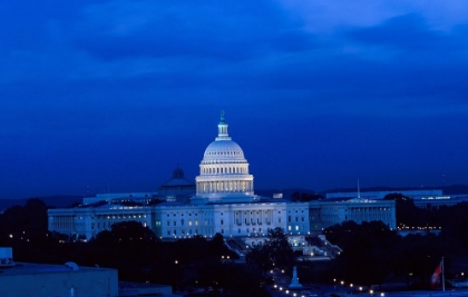 Picture of U.S. CAPITOL, WASHINGTON, D.C. #2