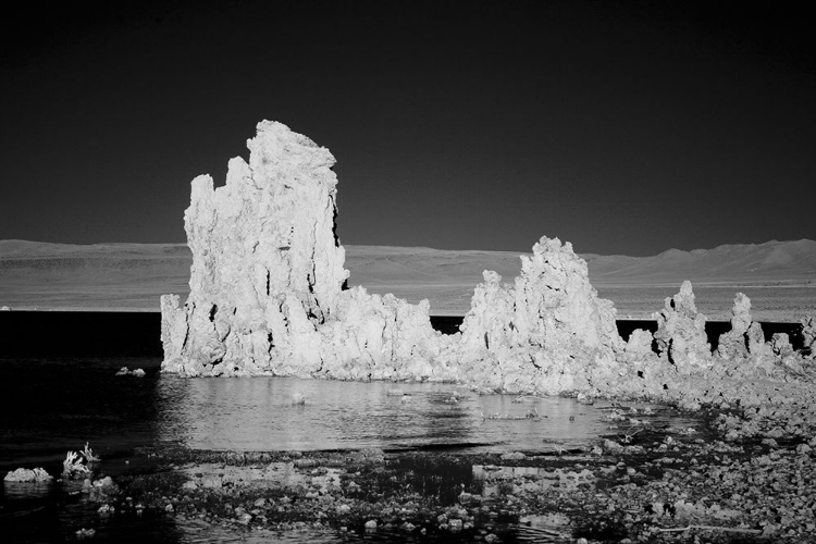 Picture of MONO LAKE CALIFORNIA