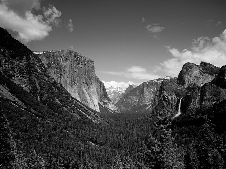 Picture of YOSEMITE VALLEY CALIFORNIA