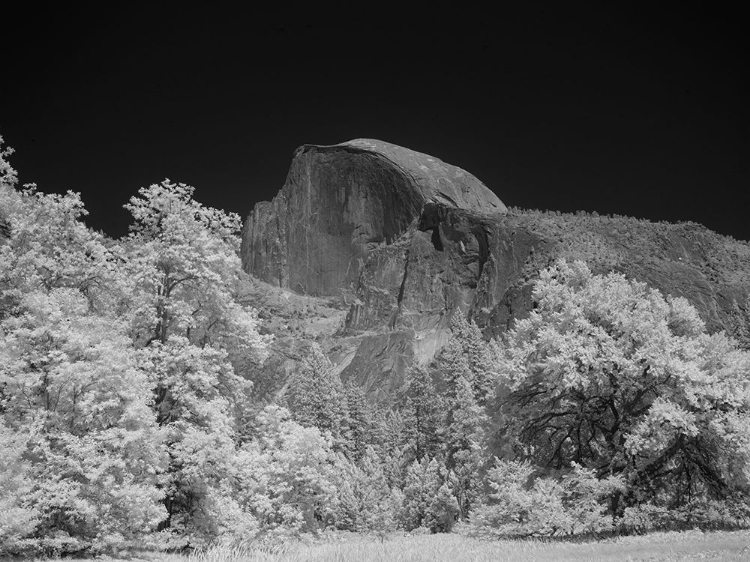 Picture of HALF DOME IN YOSEMITE NATIONAL PARK CALIFORNIA