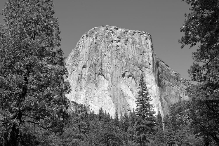 Picture of EL CAPITAN IN YOSEMITE NATIONAL PARK CALIFORNIA