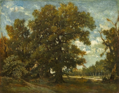 Picture of THE OAK TREE