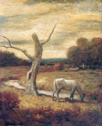 Picture of AUTUMN MEADOWS