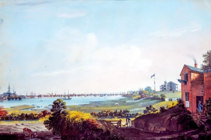 Picture of VIEW OF THE CITY OF NEW YORK AND THE MARINE HOSPITAL TAKEN FROM WALLABOUT