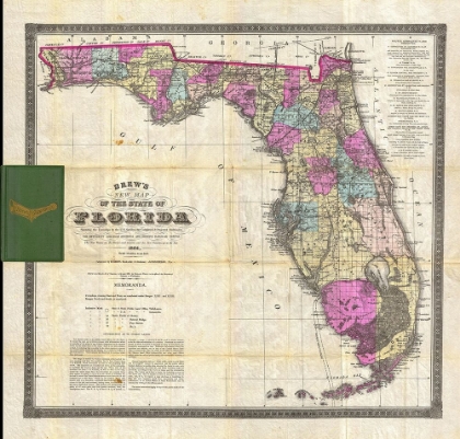 Picture of NEW MAP OF THE STATE OF FLORIDA, 1870