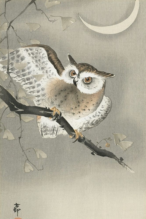 Picture of LONG-EARED OWL IN GINKGO