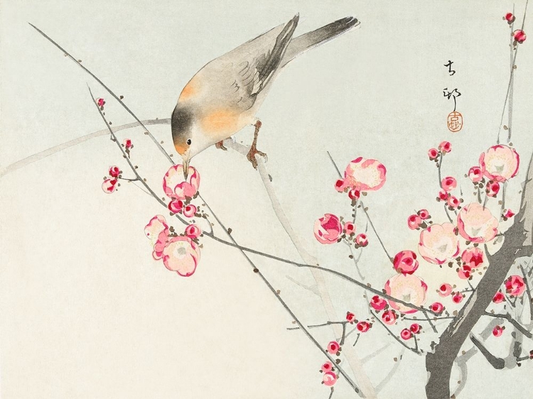 Picture of SONGBIRD ON BLOSSOM BRANCH