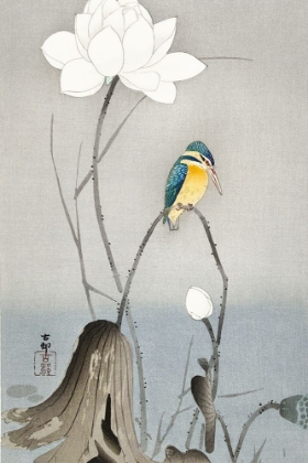 Picture of KINGFISHER WITH LOTUS FLOWER