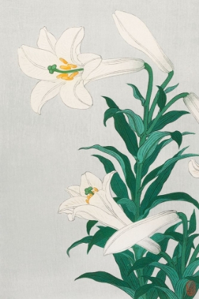 Picture of LILIES, OHARA