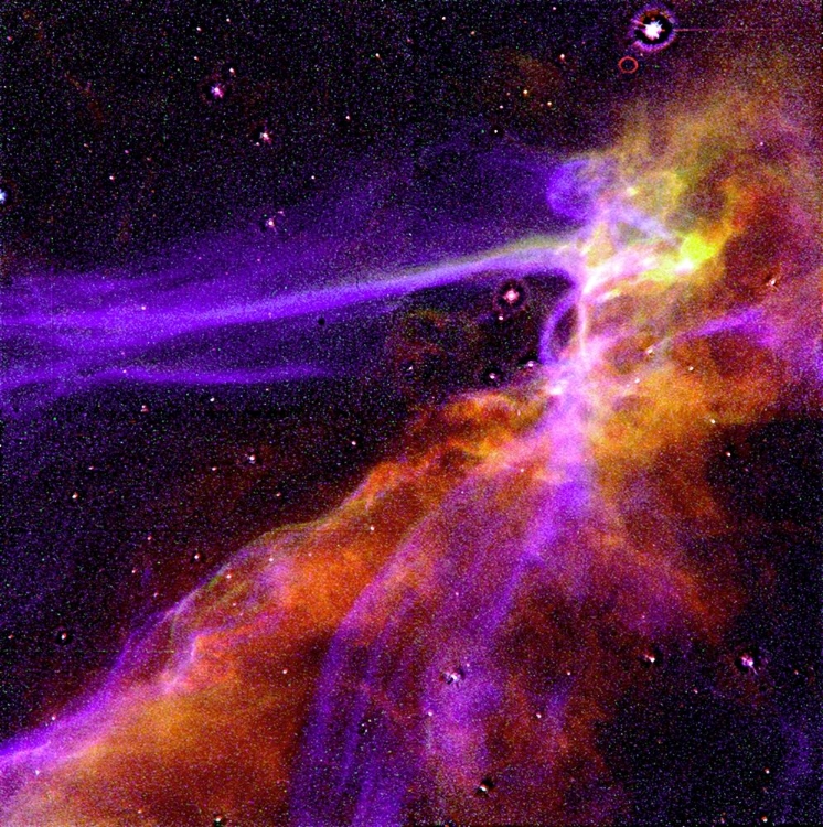 Picture of CYGNUS LOOP SUPERNOVA BLAST WAVE