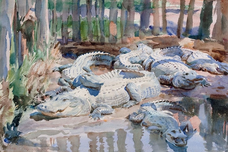 Picture of MUDDY ALLIGATORS