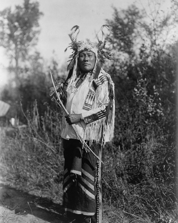 Picture of LONG TIME DOG, HIDATSA