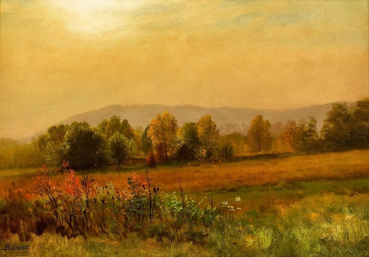 Picture of AUTUMN LANDSCAPE