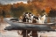 Picture of HUNTING DOGS IN BOAT 