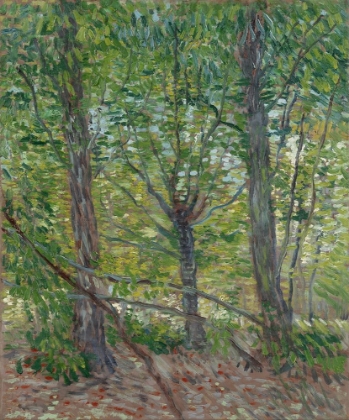 Picture of TREES