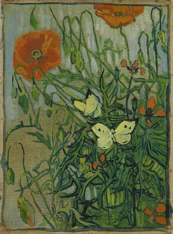 Picture of BUTTERFLIES AND POPPIES