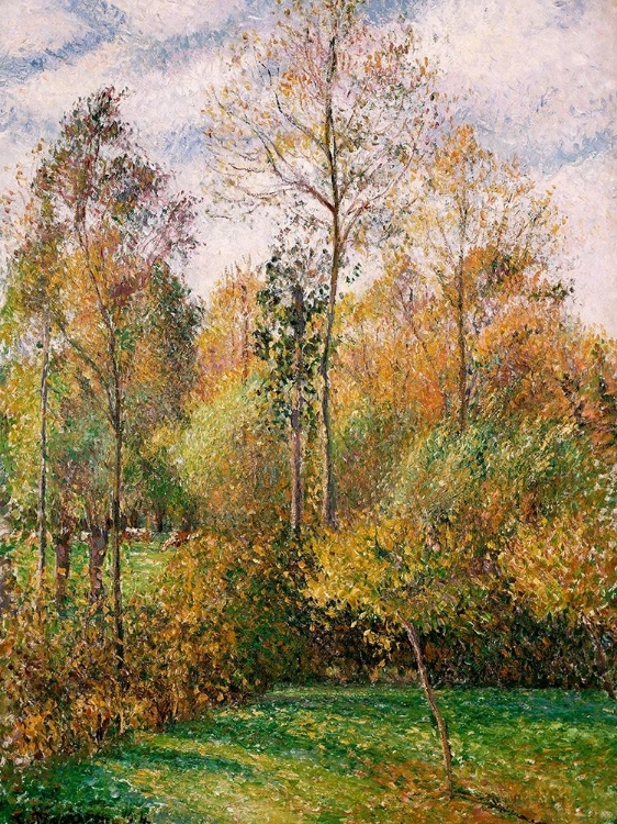 Picture of AUTOMNE, PEUPLIERS, ERAGNY