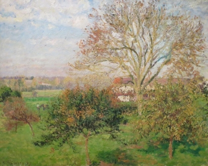 Picture of THE BIG WALNUT TREE, AUTUMN MORNING, ERAGNY