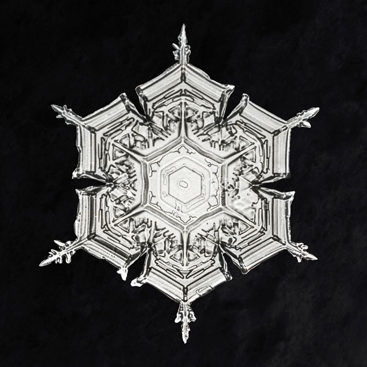 Picture of SNOWFLAKE 579A