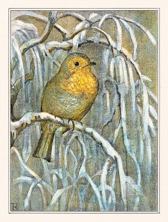 Picture of ROBIN ON SNOWY TREE BRANCH