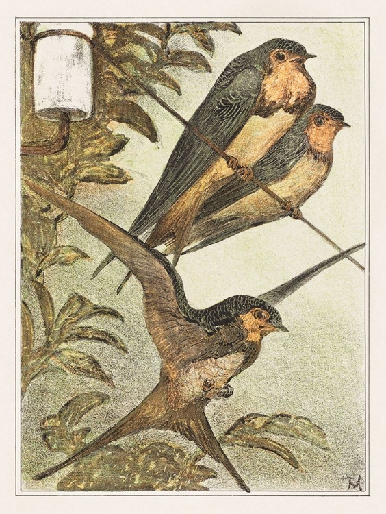 Picture of THREE SWALLOWS