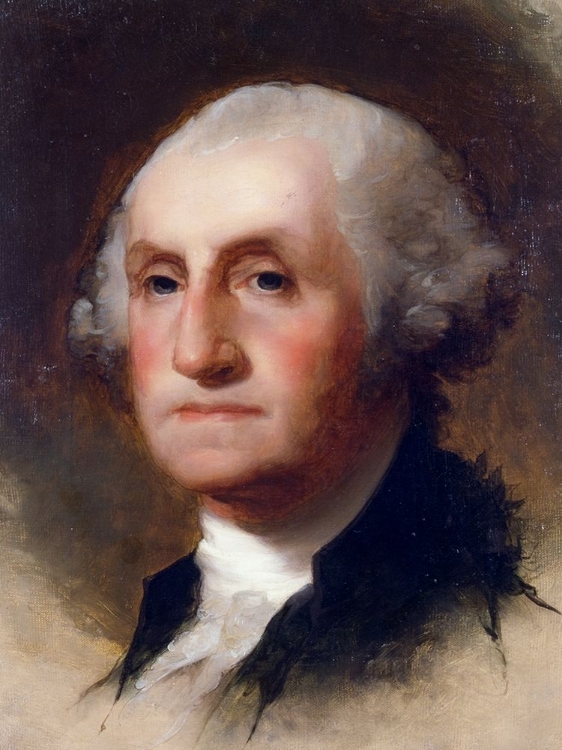 Picture of PORTRAIT OF GEORGE WASHINGTON