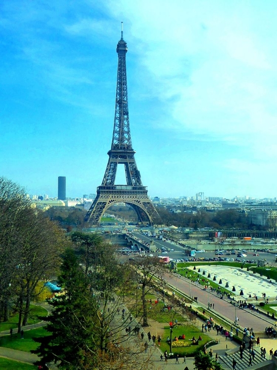 Picture of EIFFEL TOWER SKIES