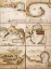 Picture of PORTUGUESE MAPS OF THE MEDITERRANEAN 1630