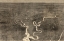 Picture of AERIAL VIEW OF GRANTS MOVE ON PETERSBURG 1864