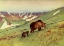 Picture of BEARS WALKING IN BASIN