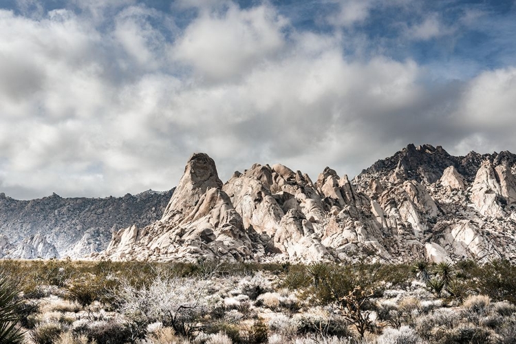 Picture of PROVIDENCE MOUNTAINS MOJAVE NATIONAL PRESERVE CALIFORNIA