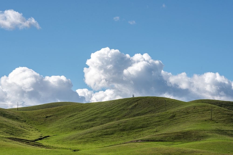 Picture of SAN JOAQUIN VALLEY-GUSTINE-MERCED COUNTY-CALIFORNIA