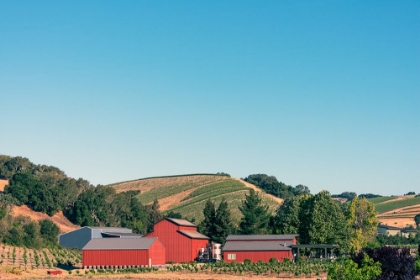 Picture of ROUTE 46 IN THE CENTRAL VALLEY OF CALIFONIA