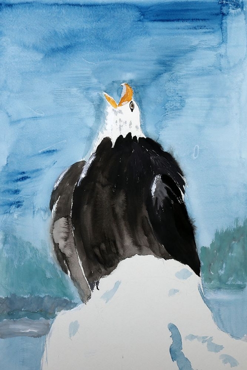 Picture of BALD EAGLE