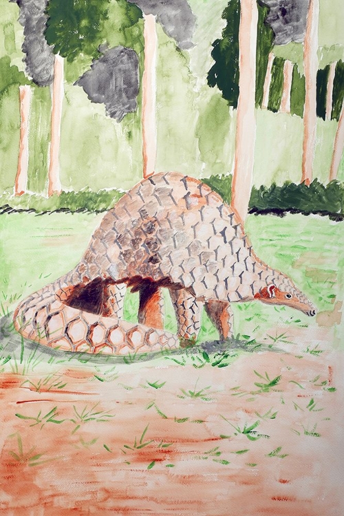 Picture of SUNDA PANGOLIN